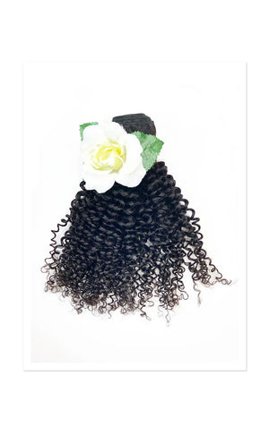 100% Virgin Brazilian Afro Curl